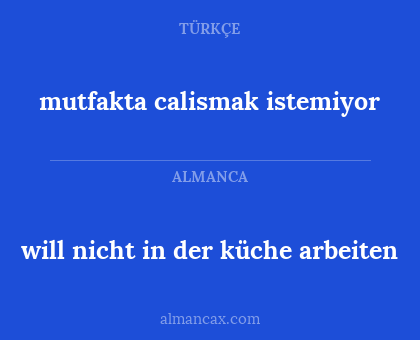 will nicht in der küche arbeiten - mutfakta calismak istemiyor