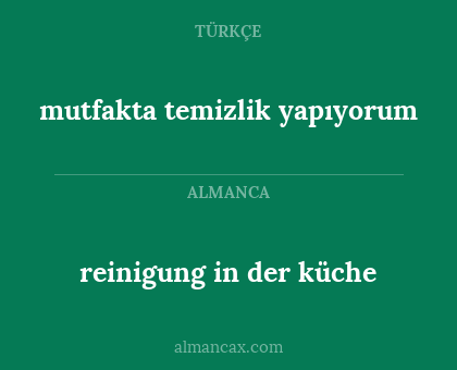 mutfakta temizlik yapıyorum - reinigung in der küche