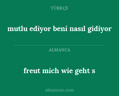 freut mich wie geht s - mutlu ediyor beni nasıl gidiyor