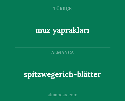 muz yaprakları - spitzwegerich-blätter