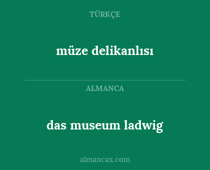 müze delikanlısı - das museum ladwig