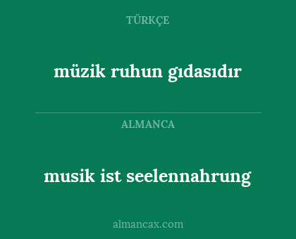 müzik ruhun gıdasıdır - musik ist seelennahrung