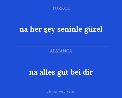 na her şey seninle güzel - na alles gut bei dir