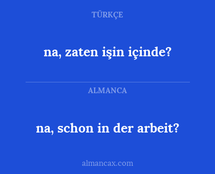na, zaten işin içinde? - na, schon in der arbeit?