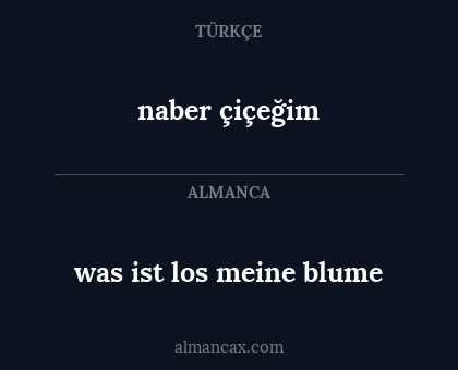 naber çiçeğim - was ist los meine blume