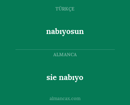 nabıyosun - sie nabıyo