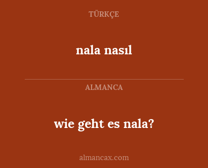 nala nasıl - wie geht es nala?