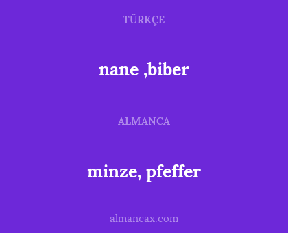 minze, pfeffer - nane ,biber