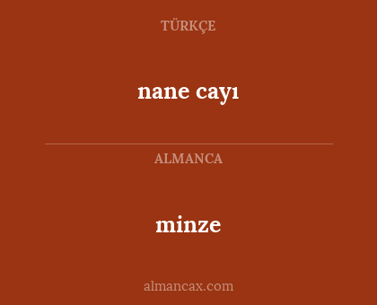 minze - nane cayı