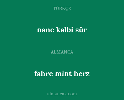 nane kalbi sür - fahre mint herz