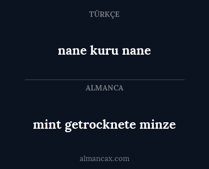 mint getrocknete minze - nane kuru nane