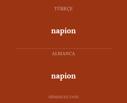 napion - napion