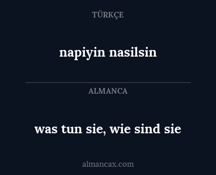 napiyin nasilsin - was tun sie, wie sind sie