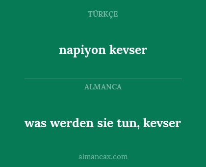 was werden sie tun, kevser - napiyon kevser
