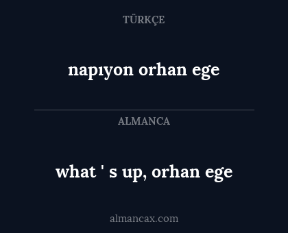 napıyon orhan ege - what ' s up, orhan ege