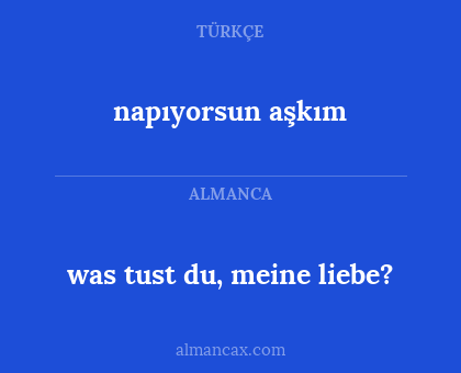 napıyorsun aşkım - was tust du, meine liebe?