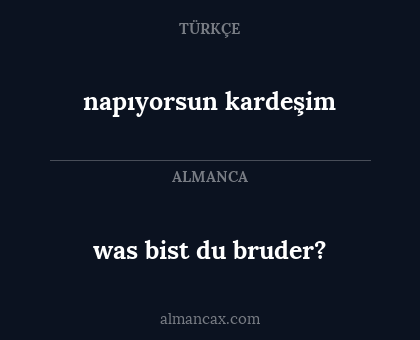 was bist du bruder? - napıyorsun kardeşim