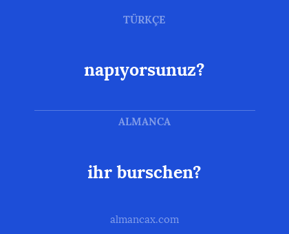 ihr burschen? - napıyorsunuz?