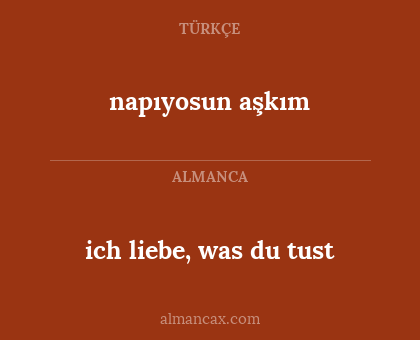 ich liebe, was du tust - napıyosun aşkım