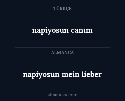 napiyosun canım - napiyosun mein lieber