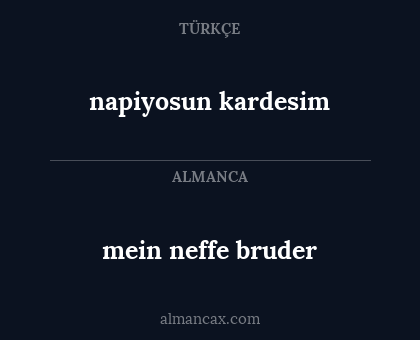 napiyosun kardesim - mein neffe bruder