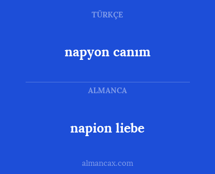 napion liebe - napyon canım