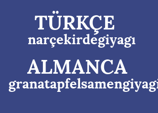 nar%C3%A7ekirdegiyag%C4%B1-granatapfelsamengiyagi.png