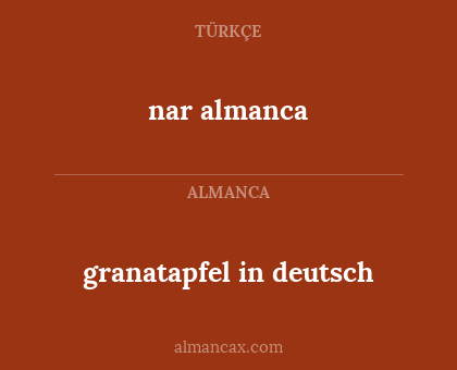 nar almanca - granatapfel in deutsch