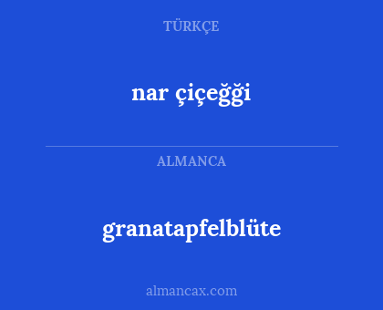 granatapfelblüte - nar çiçeğği