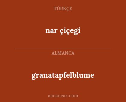 nar çiçegi - granatapfelblume