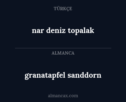 granatapfel sanddorn - nar deniz topalak