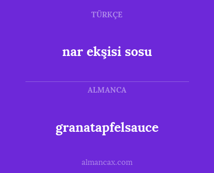 nar ekşisi sosu - granatapfelsauce