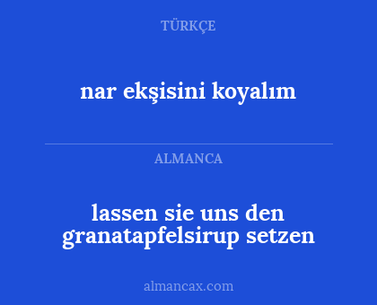 lassen sie uns den granatapfelsirup setzen - nar ekşisini koyalım