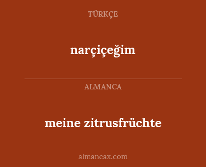 meine zitrusfrüchte - narçiçeğim