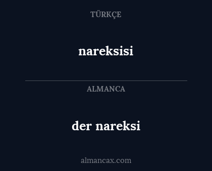 nareksisi - der nareksi