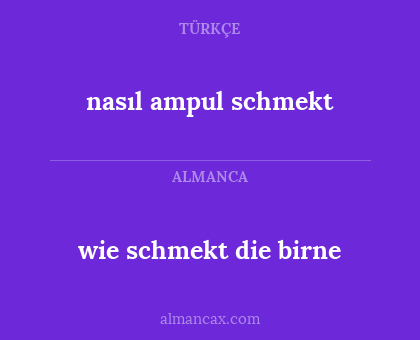 wie schmekt die birne - nasıl ampul schmekt