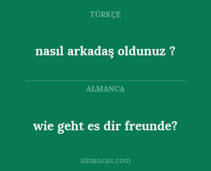nasıl arkadaş oldunuz ? - wie geht es dir freunde?