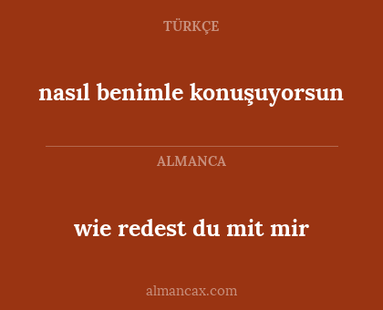 nasıl benimle konuşuyorsun - wie redest du mit mir