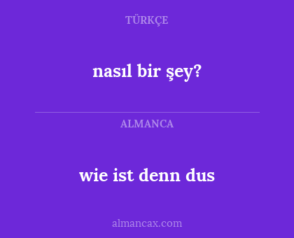 nasıl bir şey? - wie ist denn dus