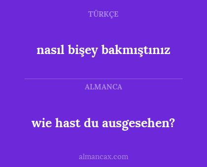 nasıl bişey bakmıştınız - wie hast du ausgesehen?