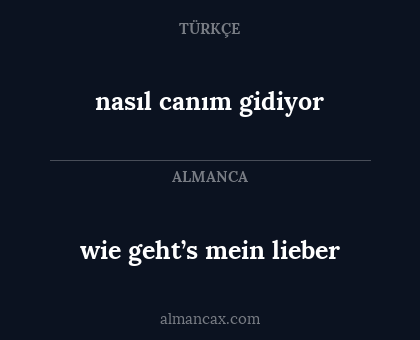 wie geht’s mein lieber - nasıl canım gidiyor