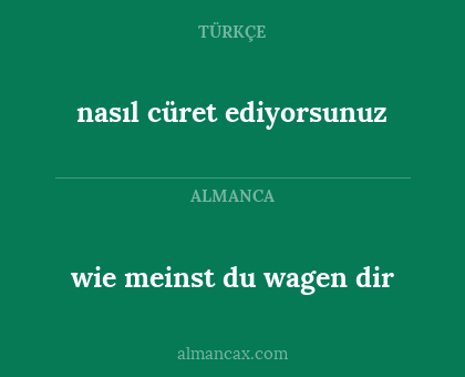 nasıl cüret ediyorsunuz - wie meinst du wagen dir
