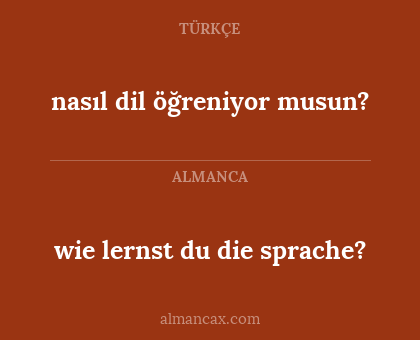 wie lernst du die sprache? - nasıl dil öğreniyor musun?