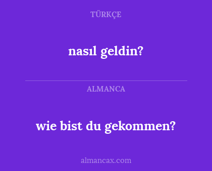 wie bist du gekommen? - nasıl geldin?