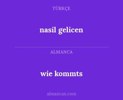 wie kommts - nasil gelicen