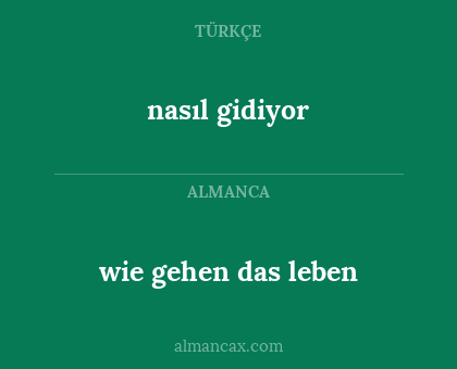 nasıl gidiyor - wie gehen das leben