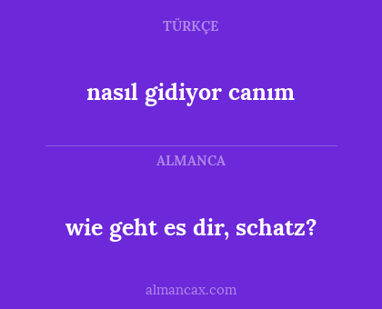 wie geht es dir, schatz? - nasıl gidiyor canım