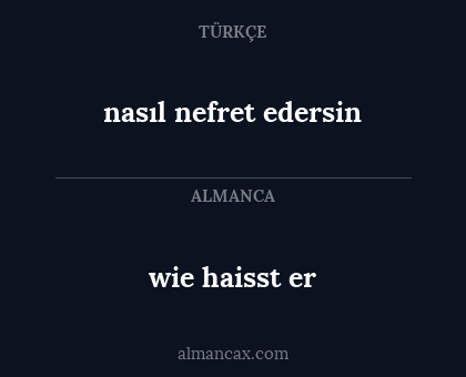 wie haisst er - nasıl nefret edersin