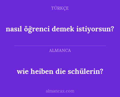 nasıl öğrenci demek istiyorsun? - wie heiben die schülerin?