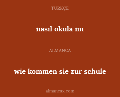 wie kommen sie zur schule - nasıl okula mı